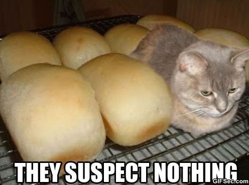 they suspect nothing