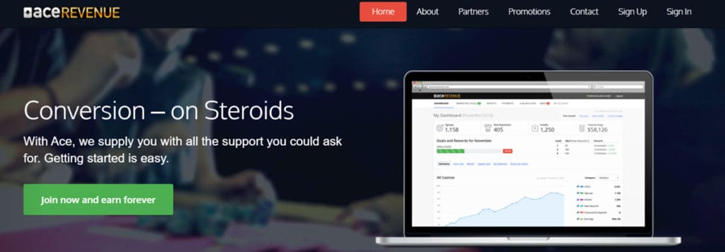 Ace Revenue Homepage