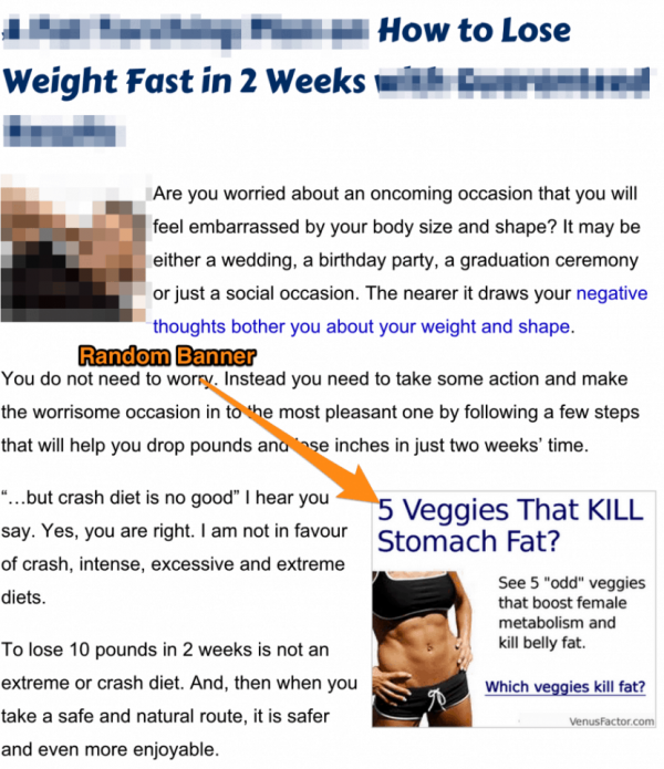 Affiliate Banner Affiliate Banner
