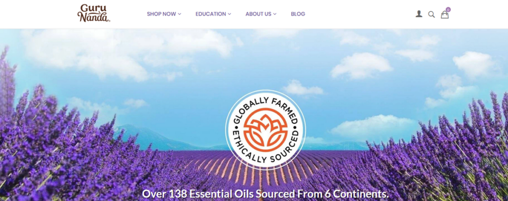 Guru Nanda Homepage Screenshot