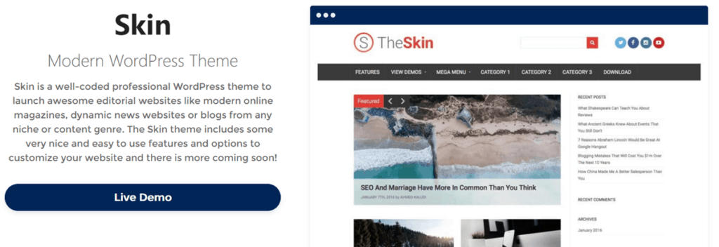 Skin Wordpress Theme Homepage