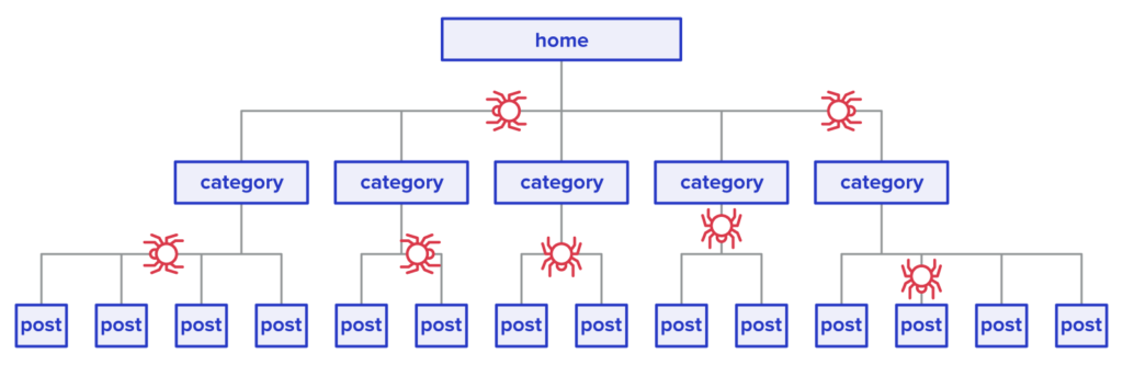 Spiders Crawling Website