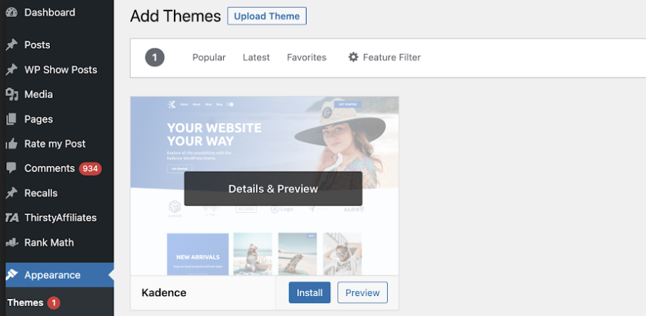 Installing Wp Theme