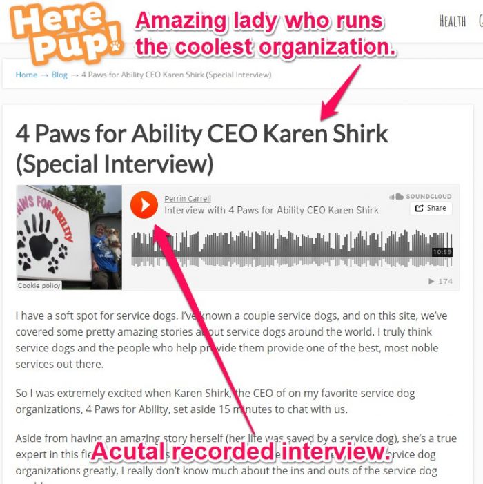 4 Paws And Herepup Interview 4 Paws And Herepup Interview